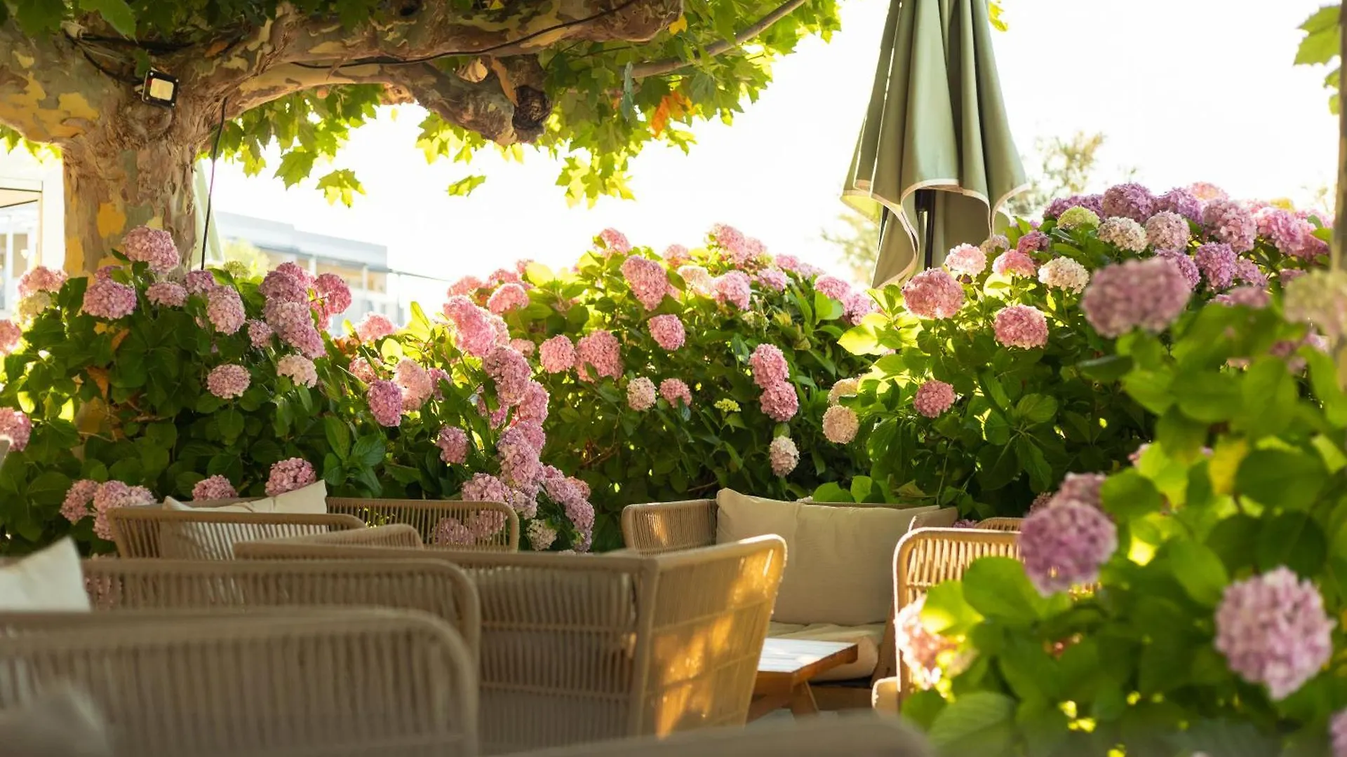 Hôtel Méditerranée Le Lavandou Hotel